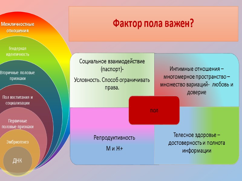 Фактор пола важен?